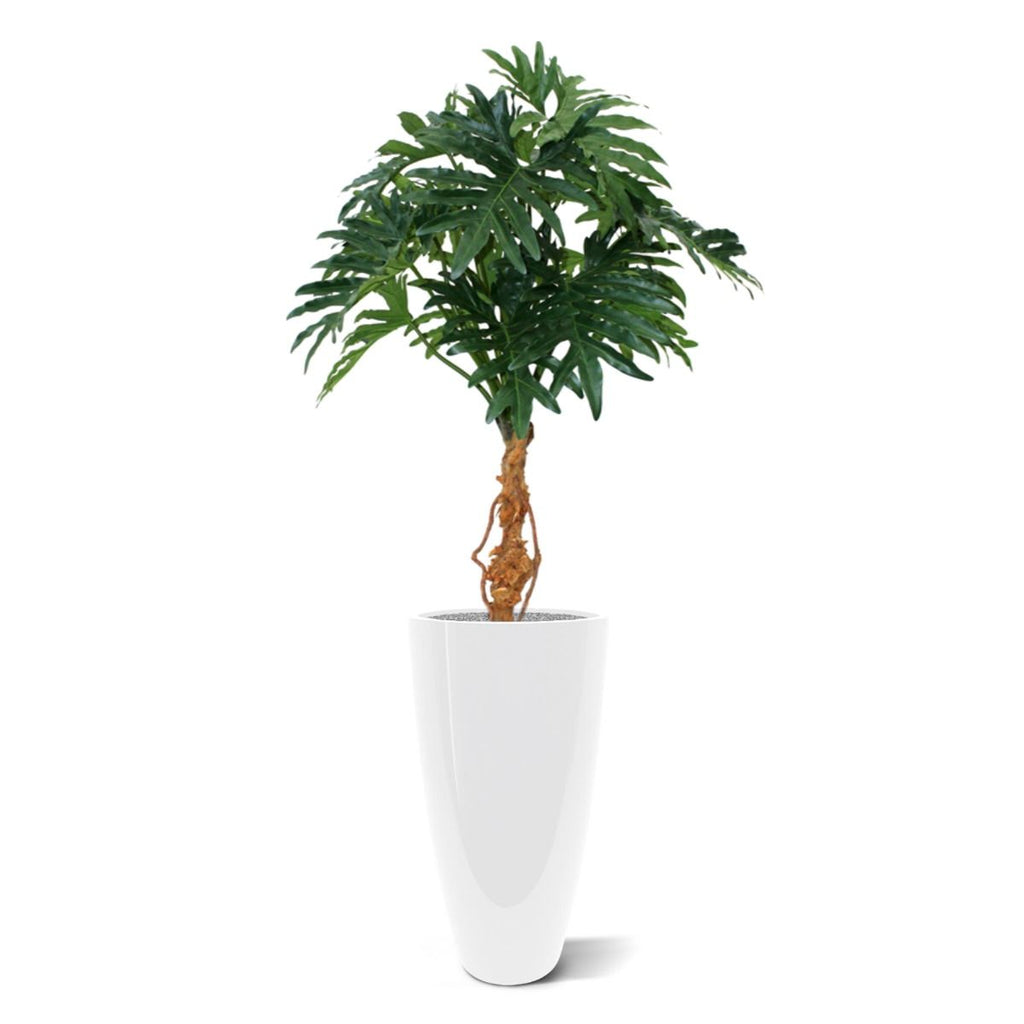 Philo Selloum kunstplant 130cm