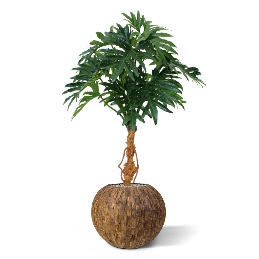 Philo Selloum kunstplant 130cm