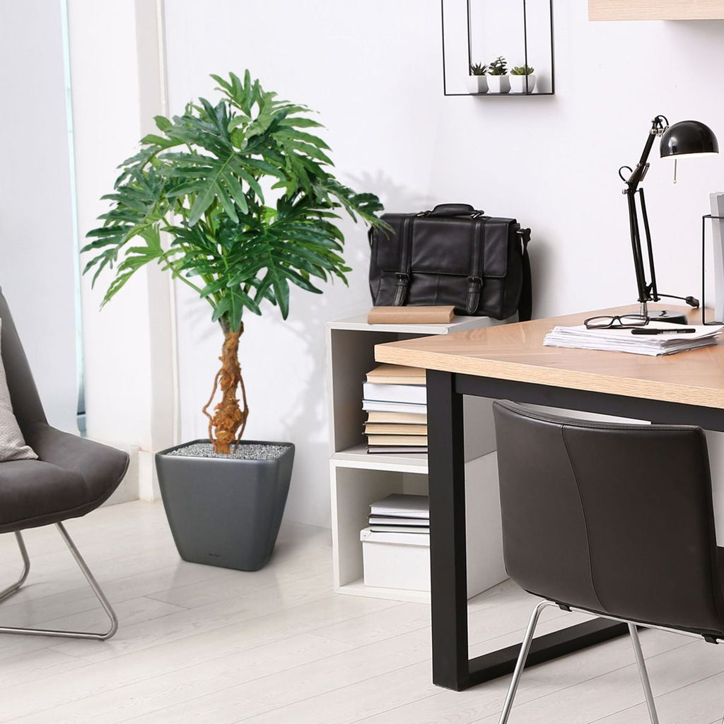 Philo Selloum kunstplant 130cm