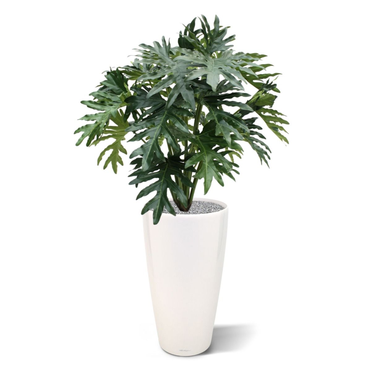 Philo Selloum kunstplant 100cm