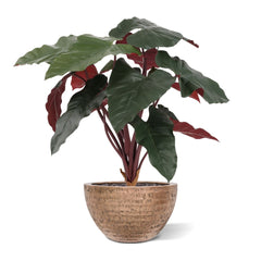 Philodendron kunstplant Deluxe 80cm Burgundy
