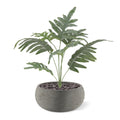 Phlebodium Blauwvaren Kunstplant 60cm