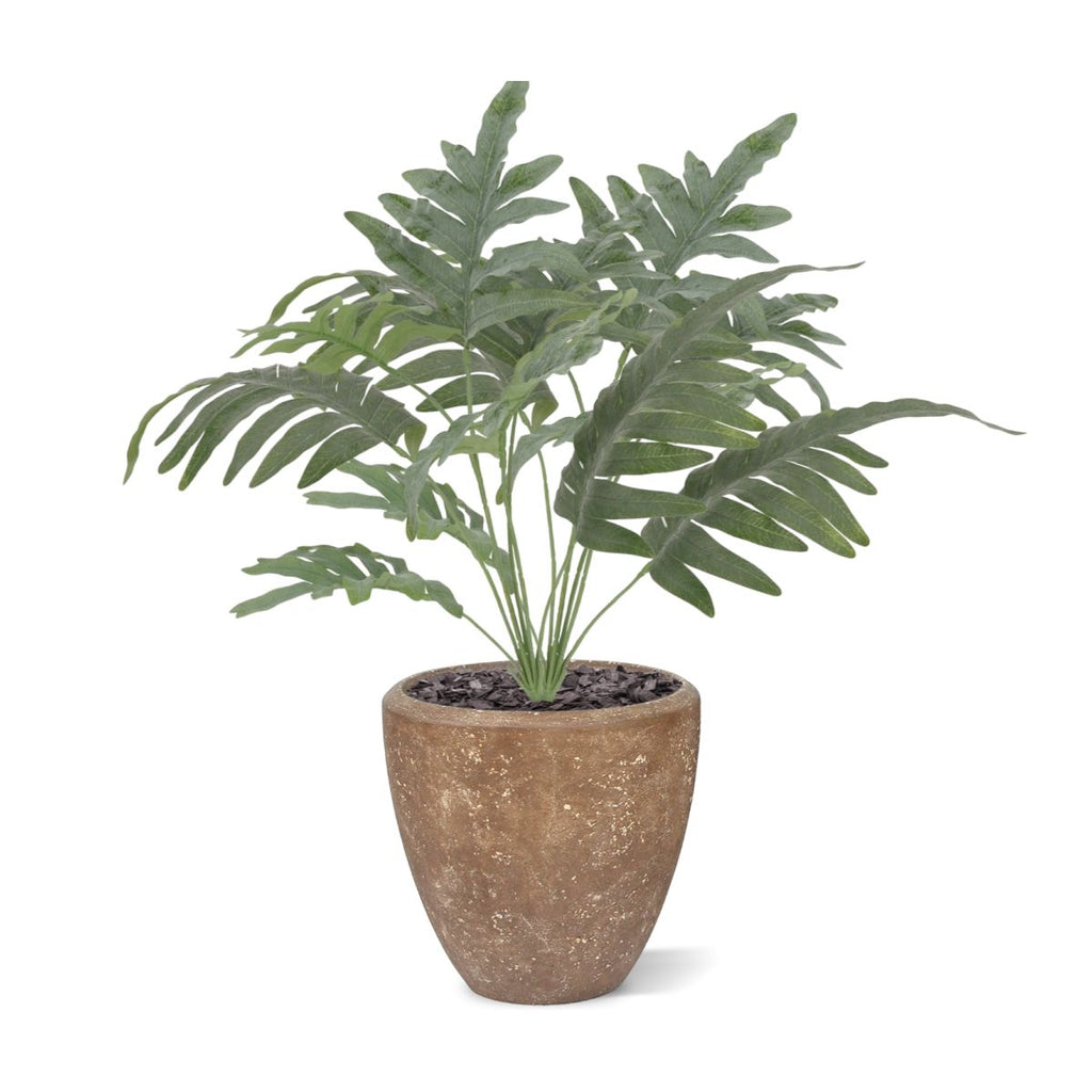 Phlebodium Blauwvaren Kunstplant 60cm
