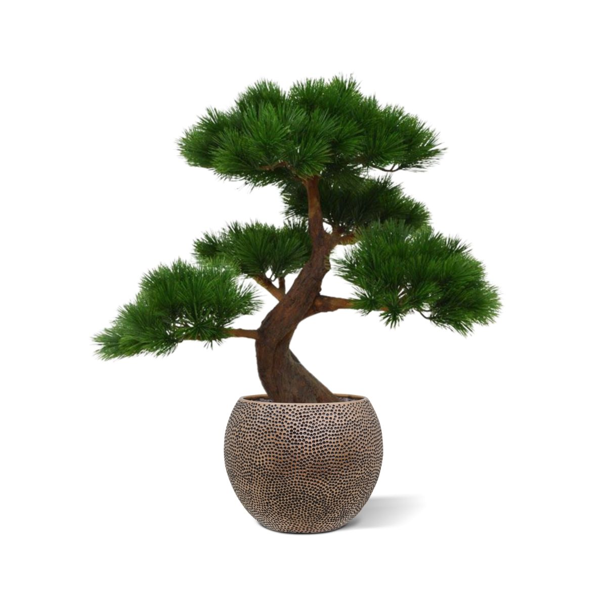Pinus Bonsai x5 deluxe kunstplant op voet 80cm