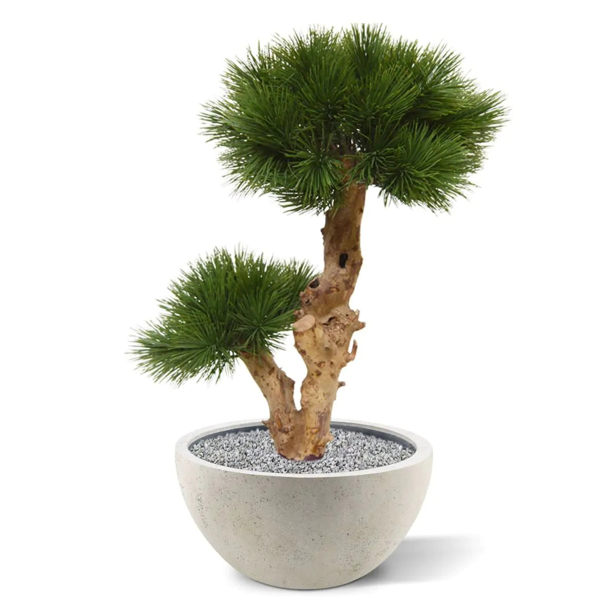 Kleine kunstmatige Pinus Bonsai boom 55 cm UV-bestendig voor buiten