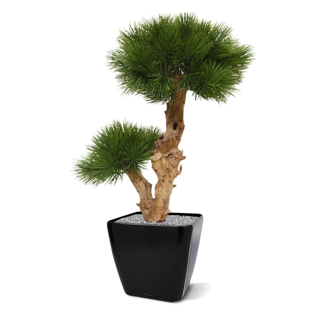 Kleine kunstmatige Pinus Bonsai boom 55 cm UV-bestendig voor buiten