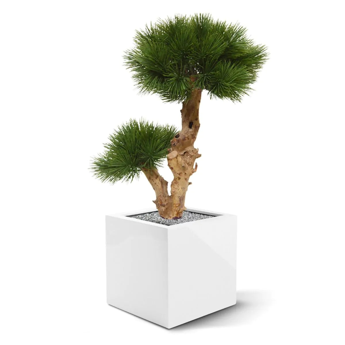 Kleine kunstmatige Pinus Bonsai boom 55 cm UV-bestendig voor buiten