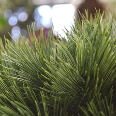 Small artificial Pinus Bonsai tree 55 cm UV for outdoor