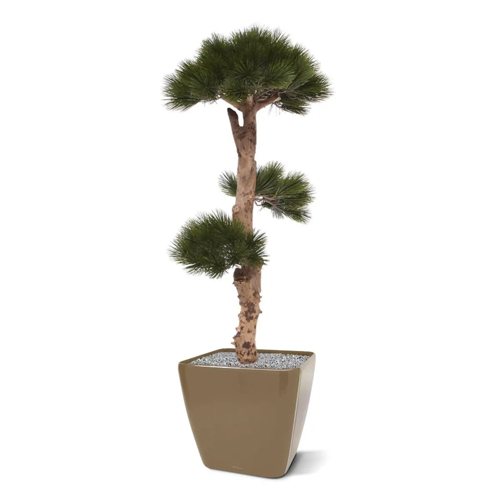 Kunstmatige Pinus Bonsai voor buiten, 110 cm, UV-bestendig.
