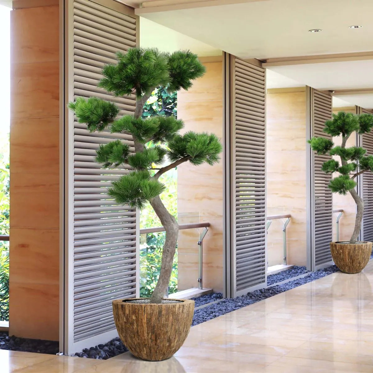 Luxe buitenkunstwerk: Pinus Bonsai XL met UV-bescherming