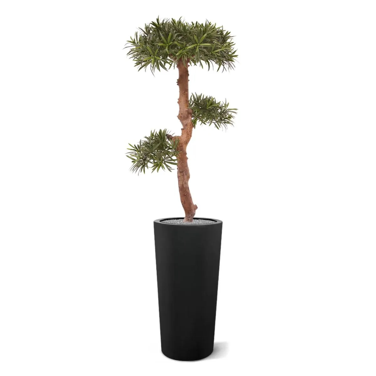 Kunstzinnige Podocarpus Bonsai boom 105 cm UV-bestendig voor buiten