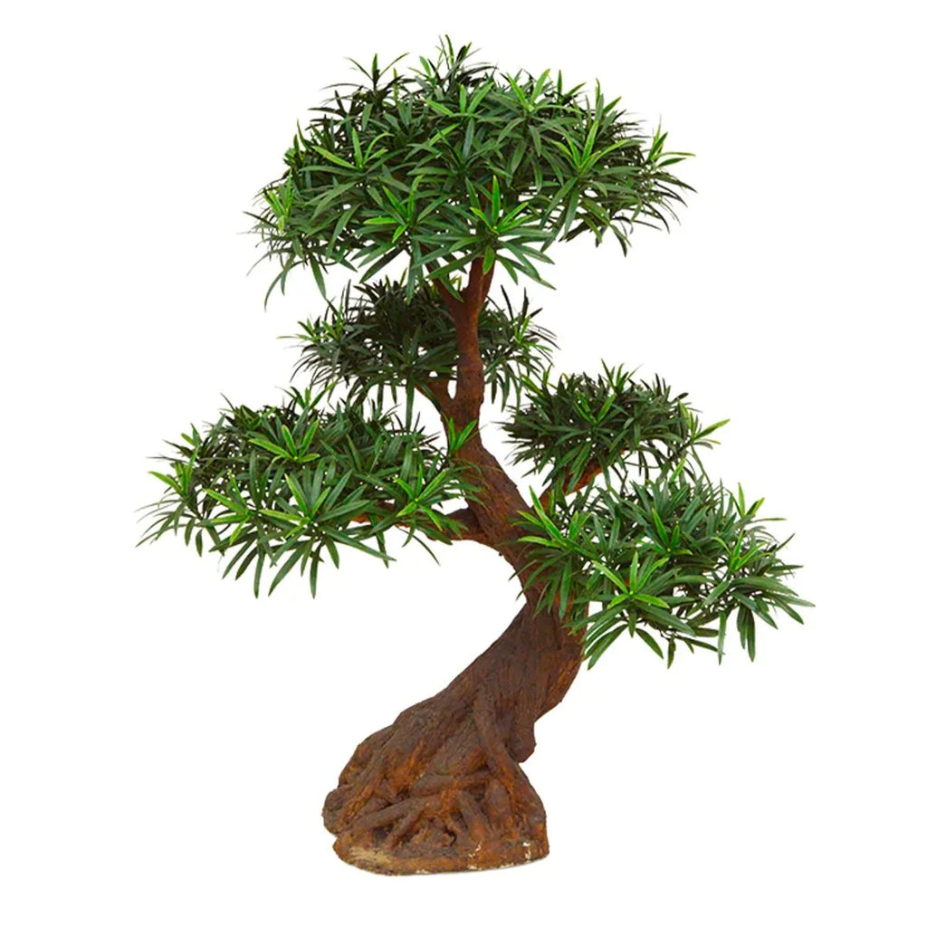 Luxe buitenkunst Podocarpus Bonsai x5 90 cm met UV-bescherming
