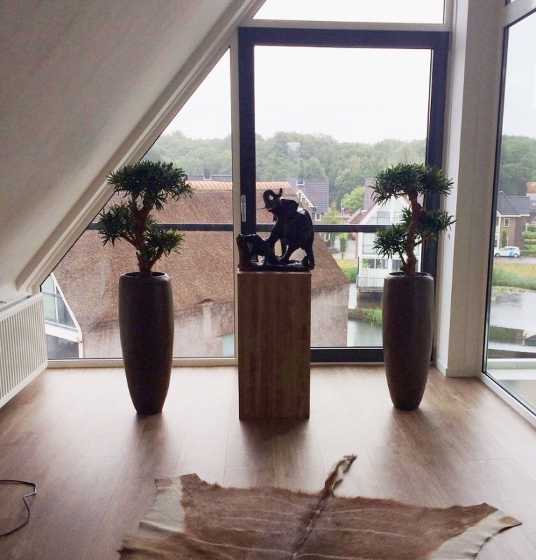 Podocarpus kunstbonsai boom deluxe op voet 65cm