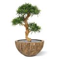 Podocarpus kunstbonsai boom deluxe op voet 65cm