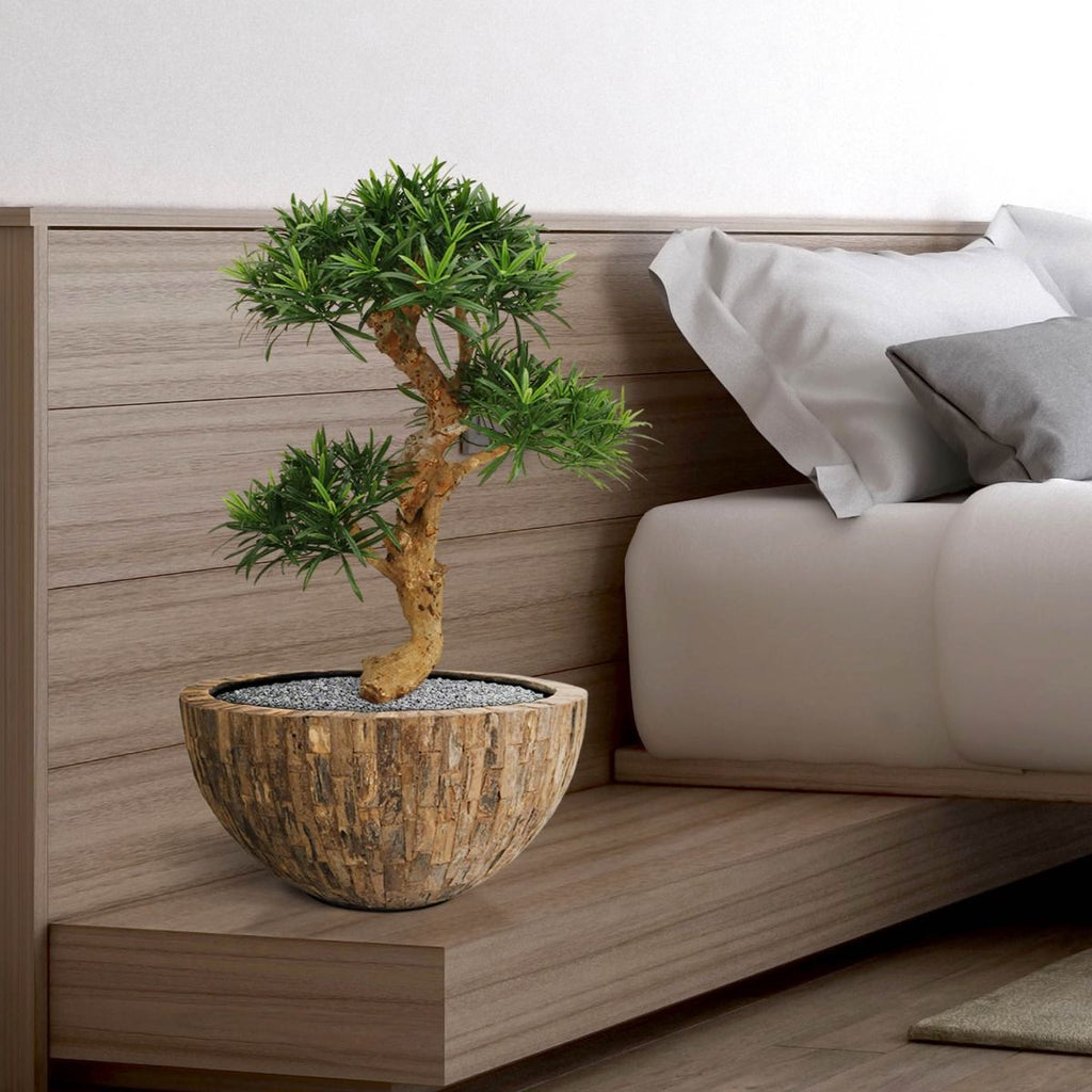 Podocarpus kunstbonsai boom deluxe op voet 65cm