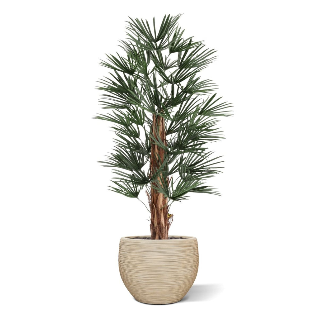 Raphis Kunstpalm 125cm UV in pot
