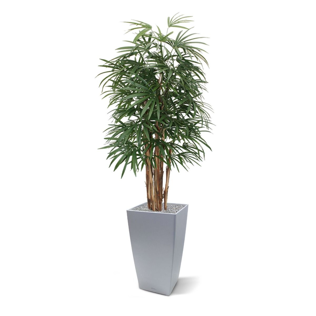 Raphis kunstpalm deluxe 160cm