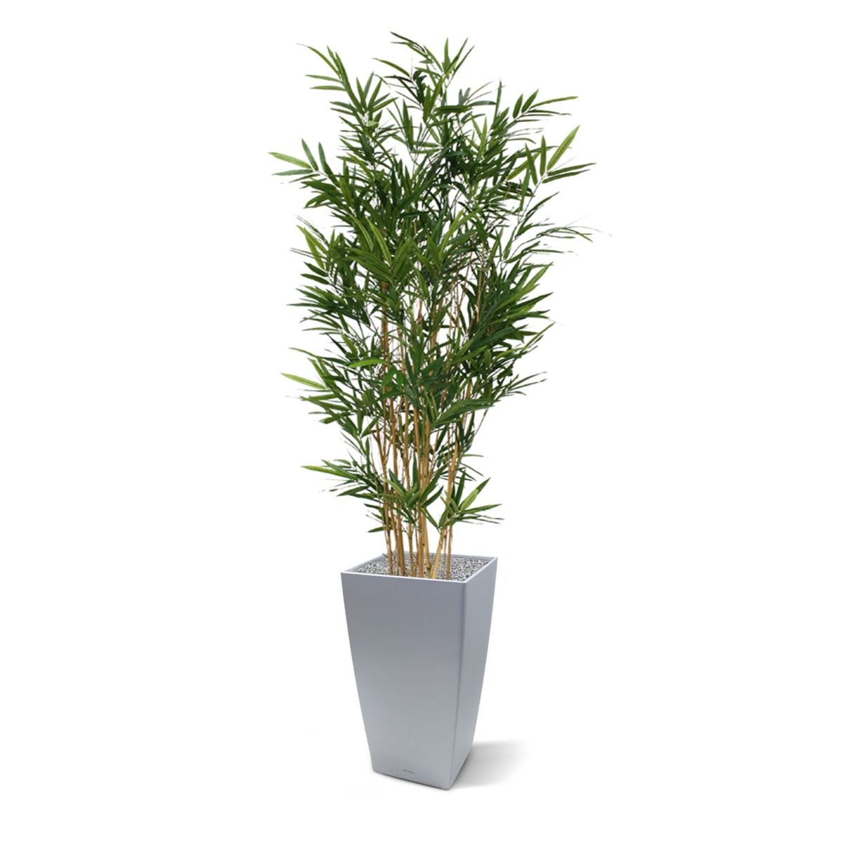 Royal Bamboe kunstboom 165cm - groen