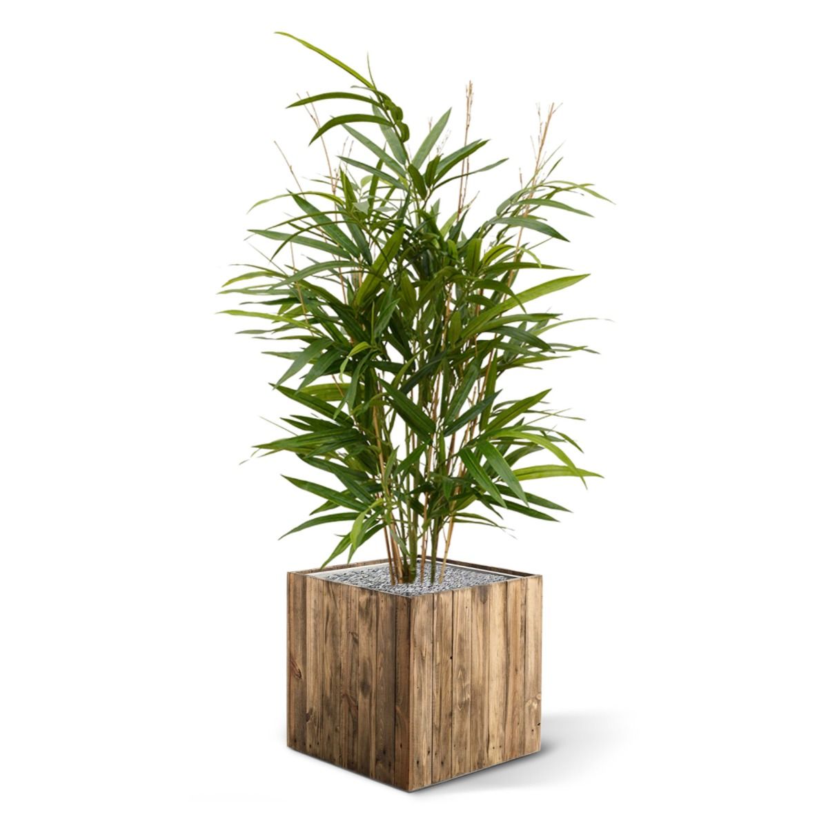 Royal Bamboe kunstplant 70cm - groen