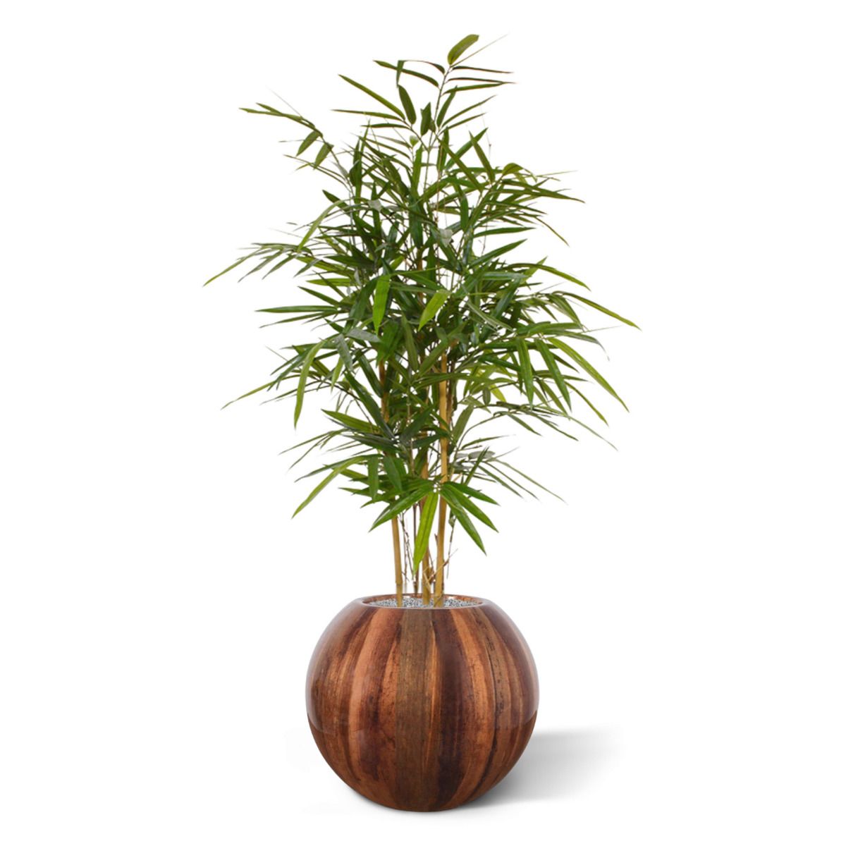 Royal Bamboe kunstplant 95cm