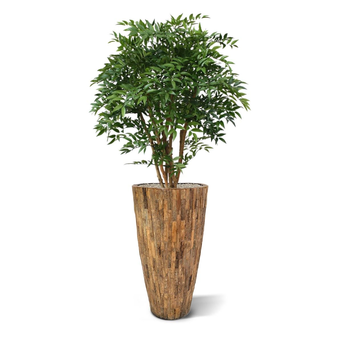 Ruscus deluxe N kunstplant 110cm