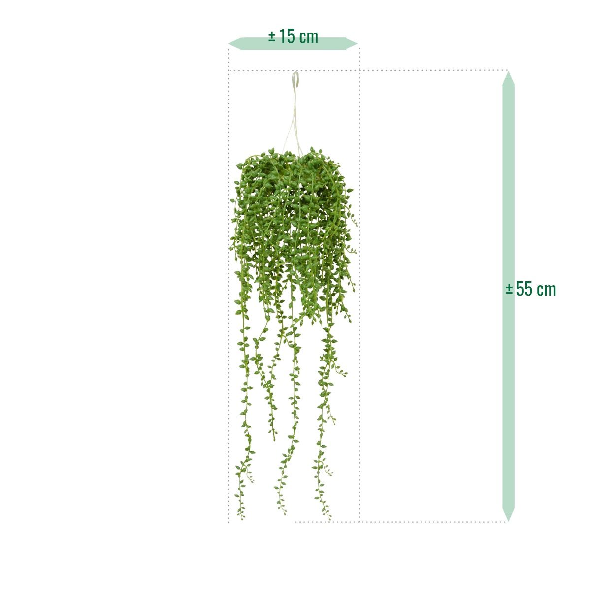 Senecio kunst hangplant 60 cm