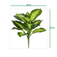 Dieffenbachia Kunstplant 25cm