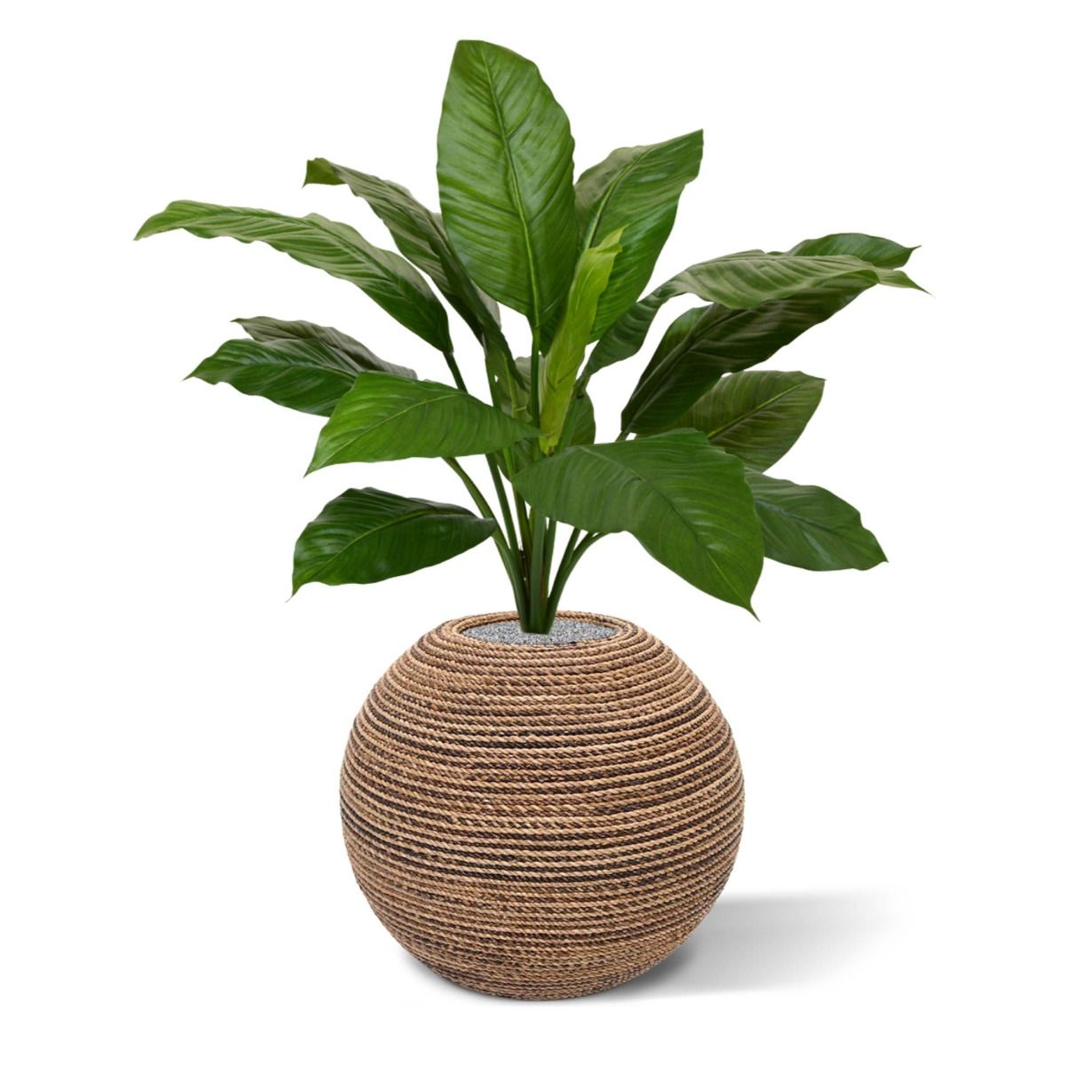 Spathiphyllum King kunstplant 80cm - groen