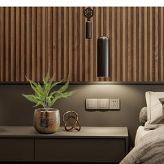 Sticherus Lobatus Kunst Varen 35cm