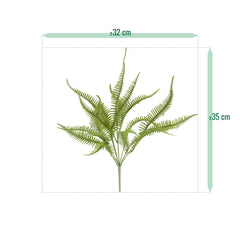 Sticherus Lobatus Kunst Varen 35cm