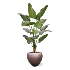 Strelitzia Nicolai deluxe Kunstpalm 170cm in pot