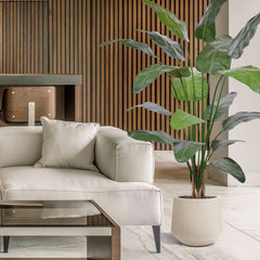 Strelitzia Nicolai deluxe Kunstpalm 200cm in pot