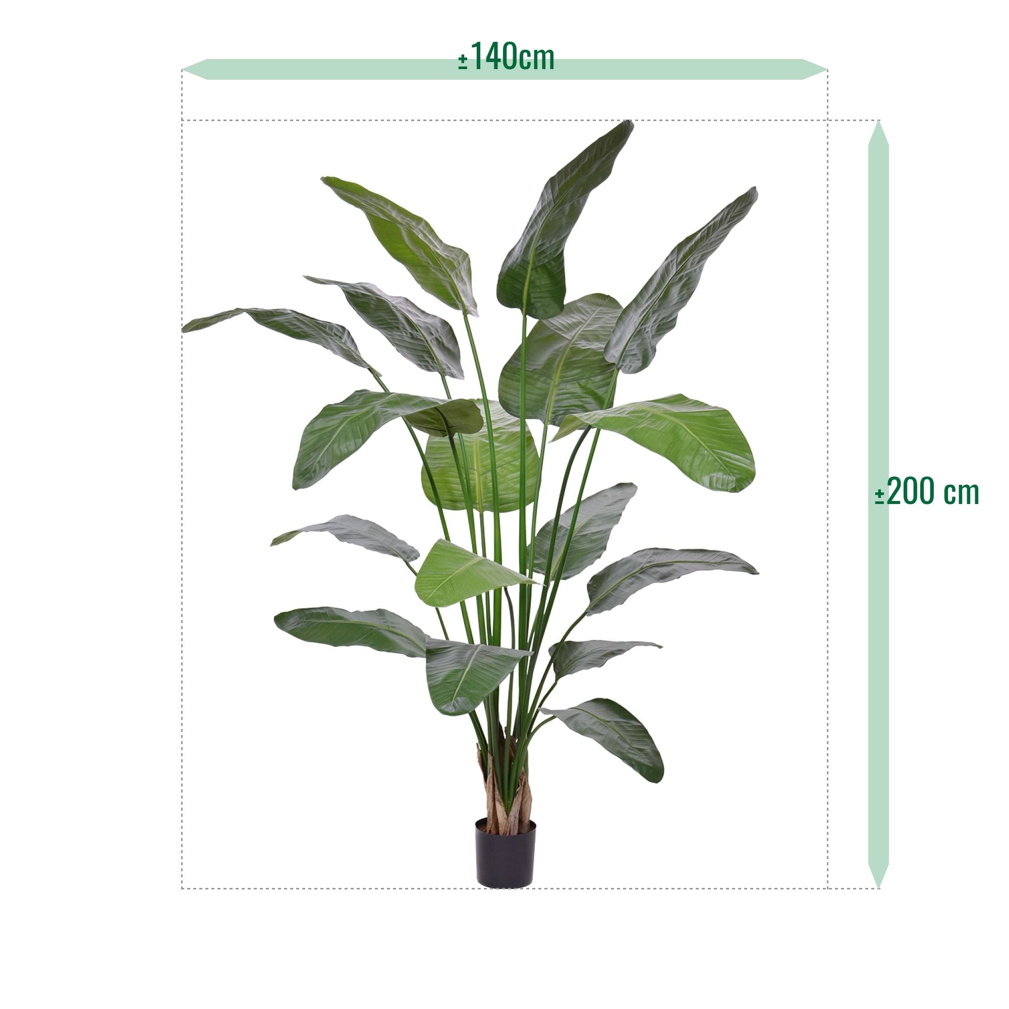 Strelitzia Nicolai deluxe Kunstpalm 200cm in pot
