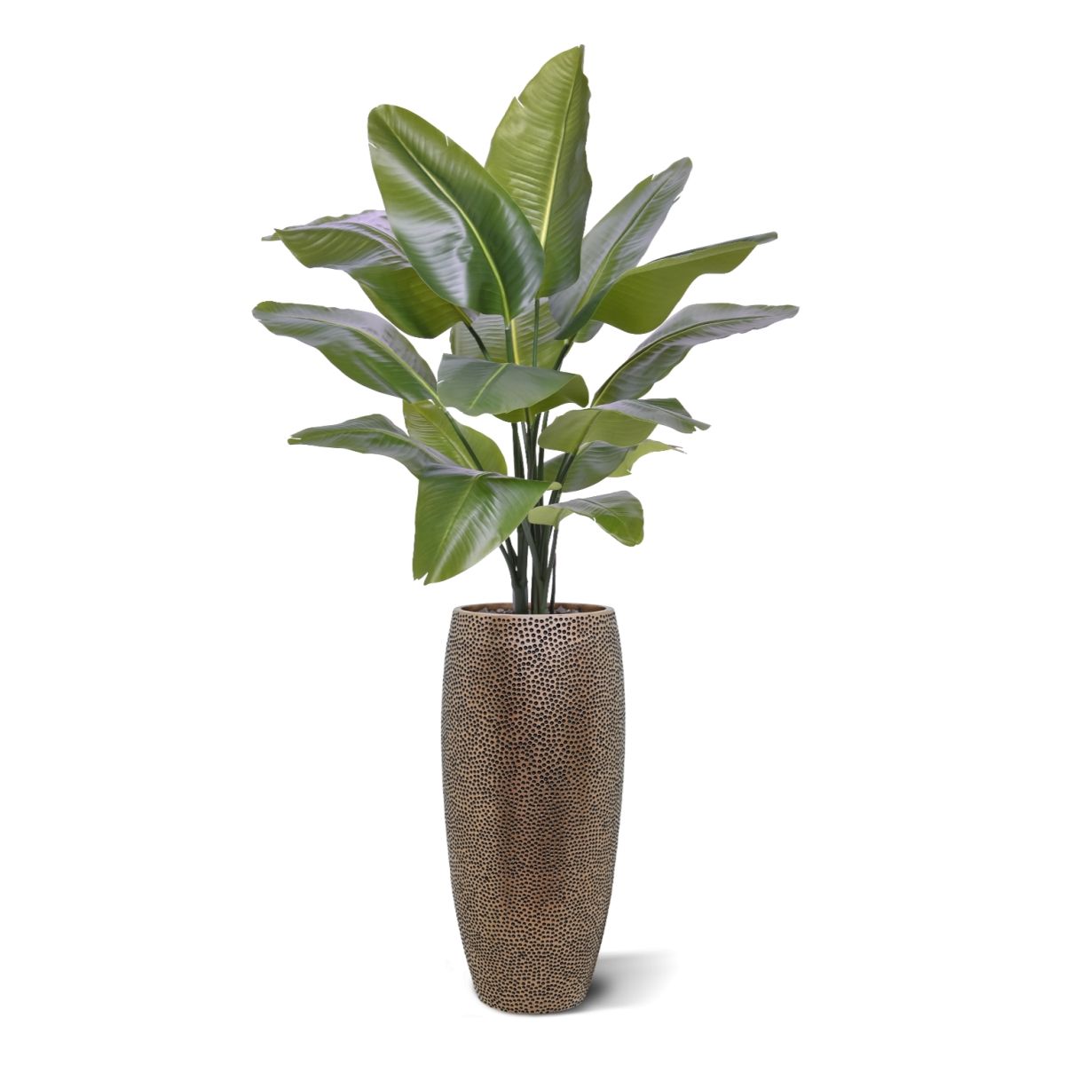 Strelitzia Nicolai XL Kunstpalm 125cm