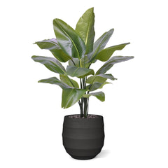 Strelitzia Nicolai XL Kunstpalm 125cm