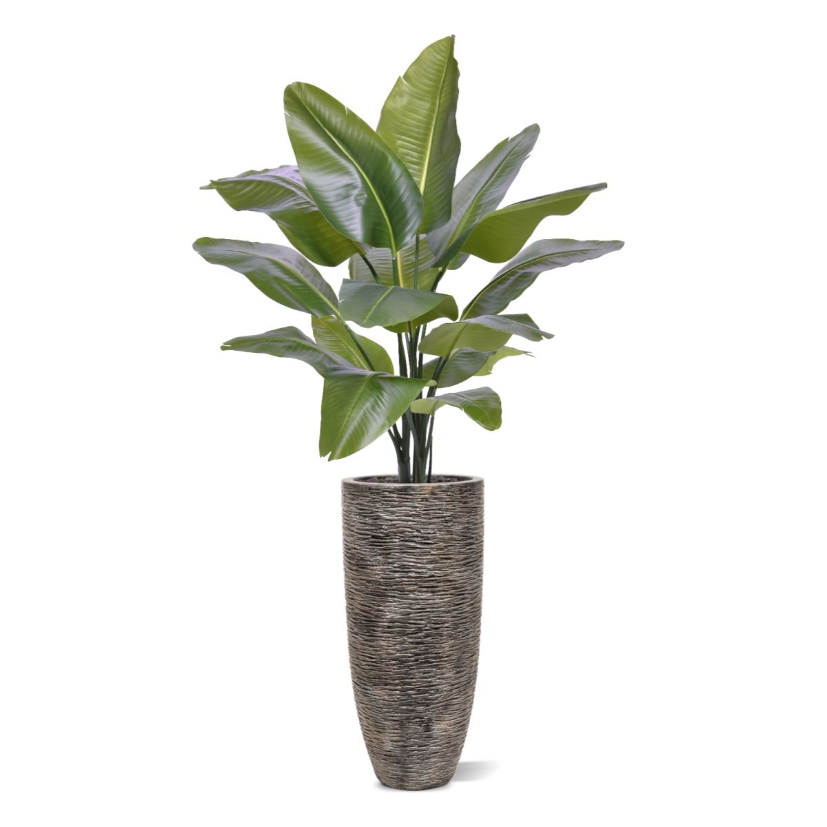 Strelitzia Nicolai XL Kunstpalm 125cm