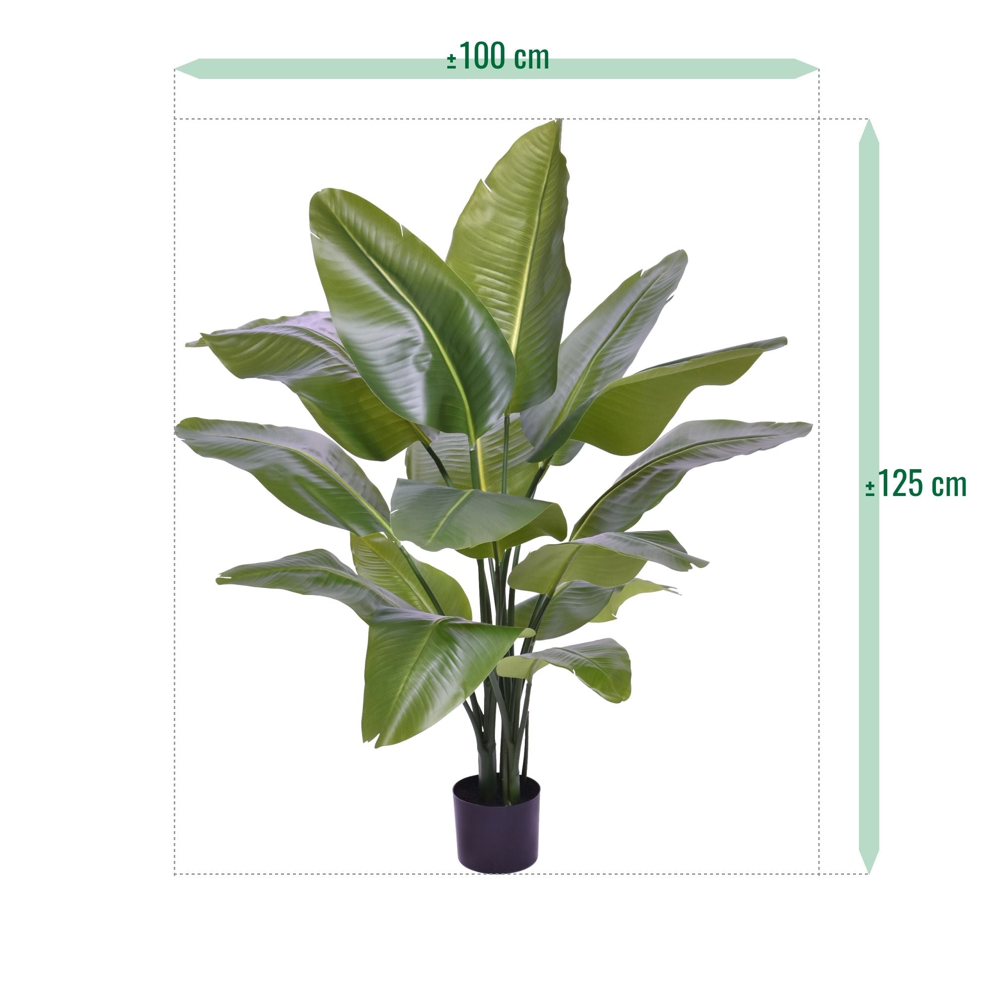 Strelitzia Nicolai XL Kunstpalm 125cm