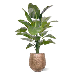 Strelitzia Nicolai XL Kunstpalm 155cm