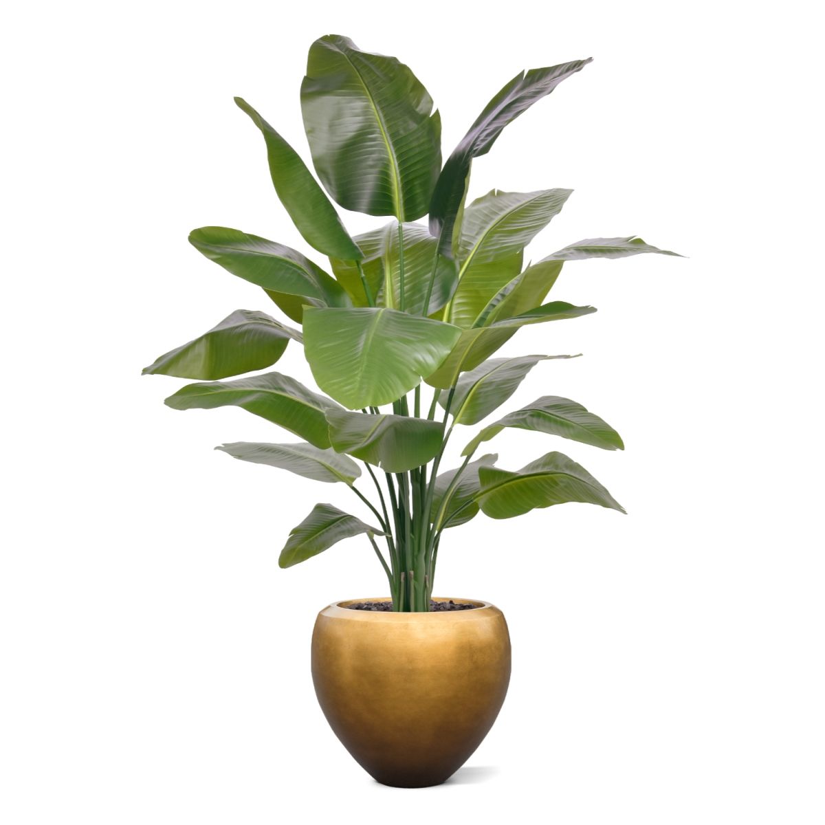 Strelitzia Nicolai XL Kunstpalm 155cm