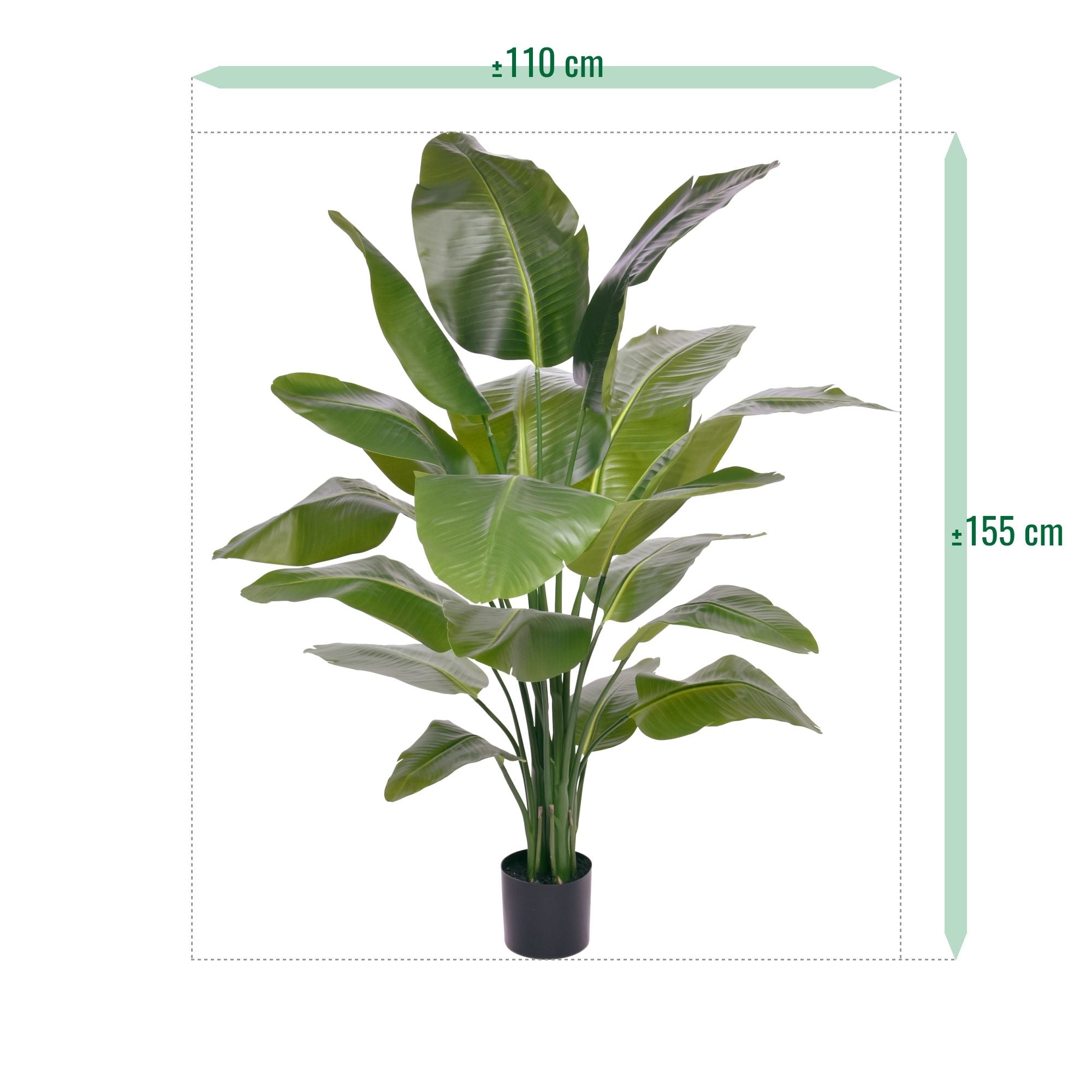 Strelitzia Nicolai XL Kunstpalm 155cm
