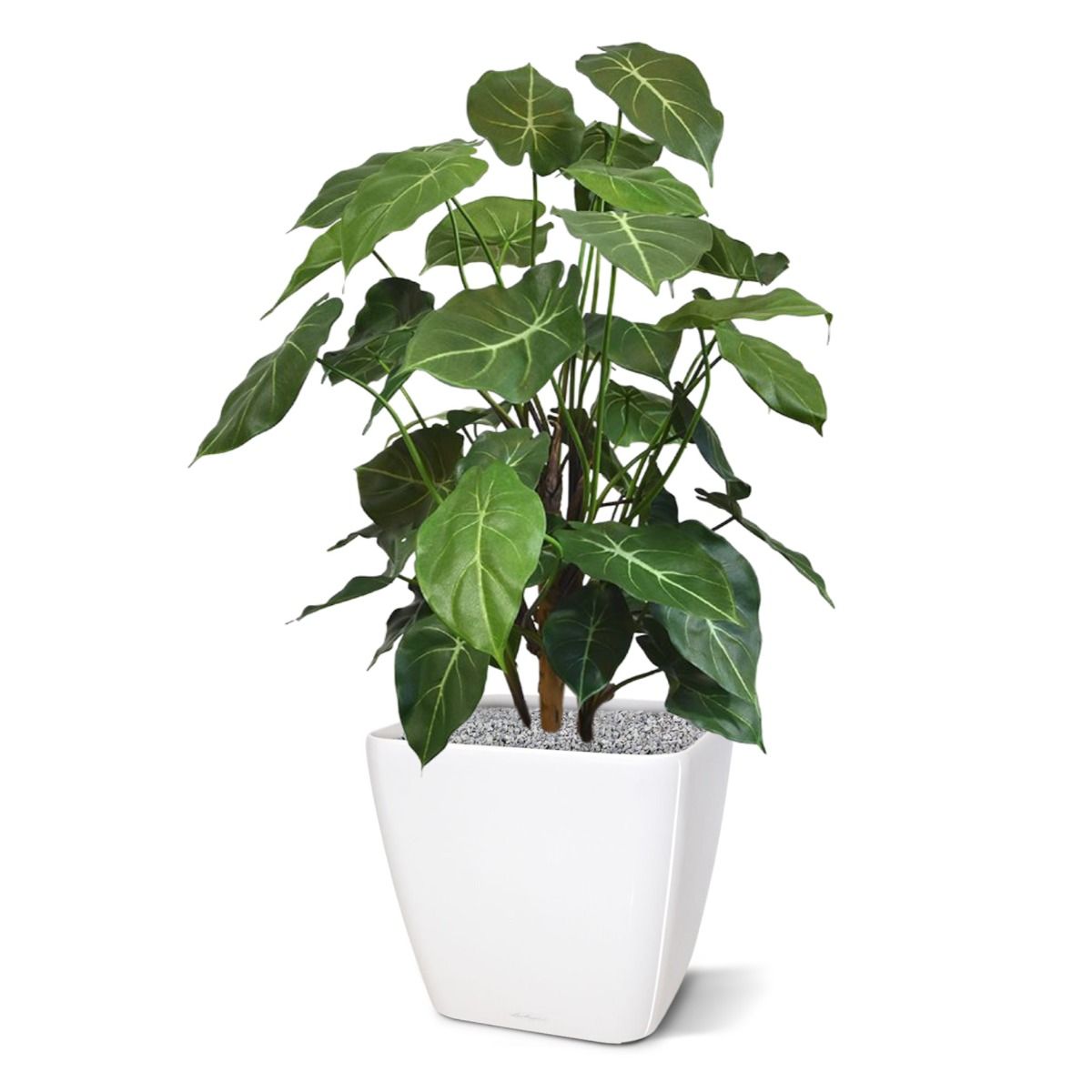 Syngonium deluxe kunstplant 85cm
