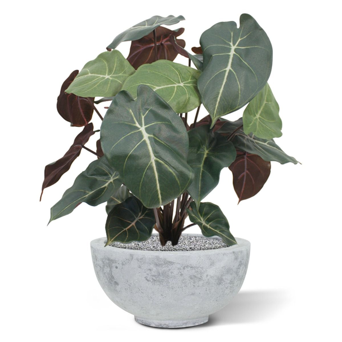 Syngonium kunstplant 60cm
