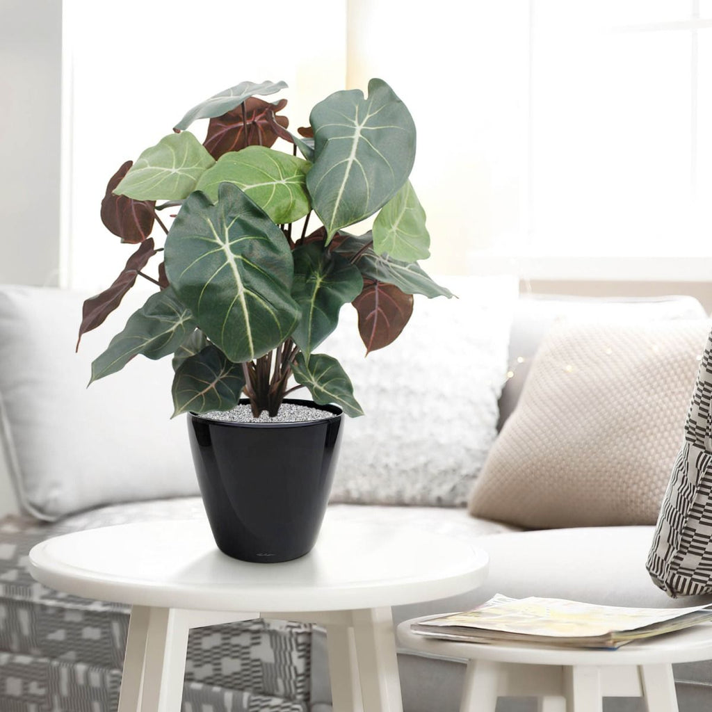 Syngonium kunstplant 60cm
