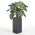 Monstera deluxe kunstplant 75 cm kopen, levensecht kunstblad in luxe antraciet pot, VerdeFlora webshop