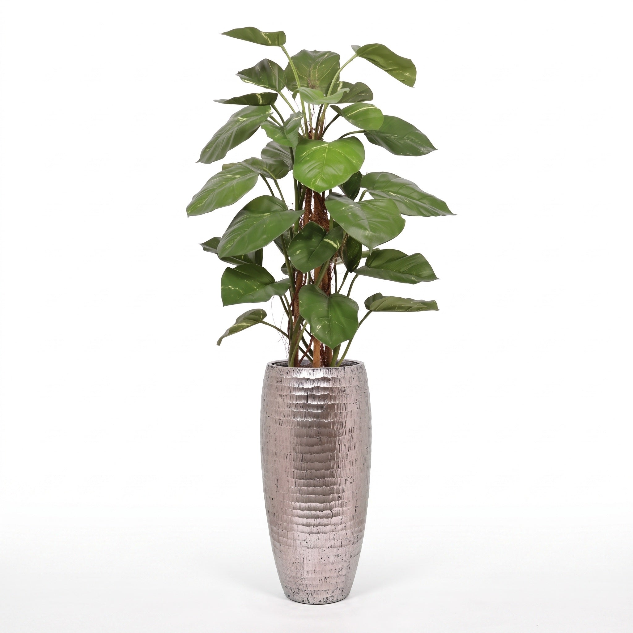 Kunst Pothos klimplant 125 cm deluxe kopen, levensechte klimplant op mospaal, VerdeFlora webshop