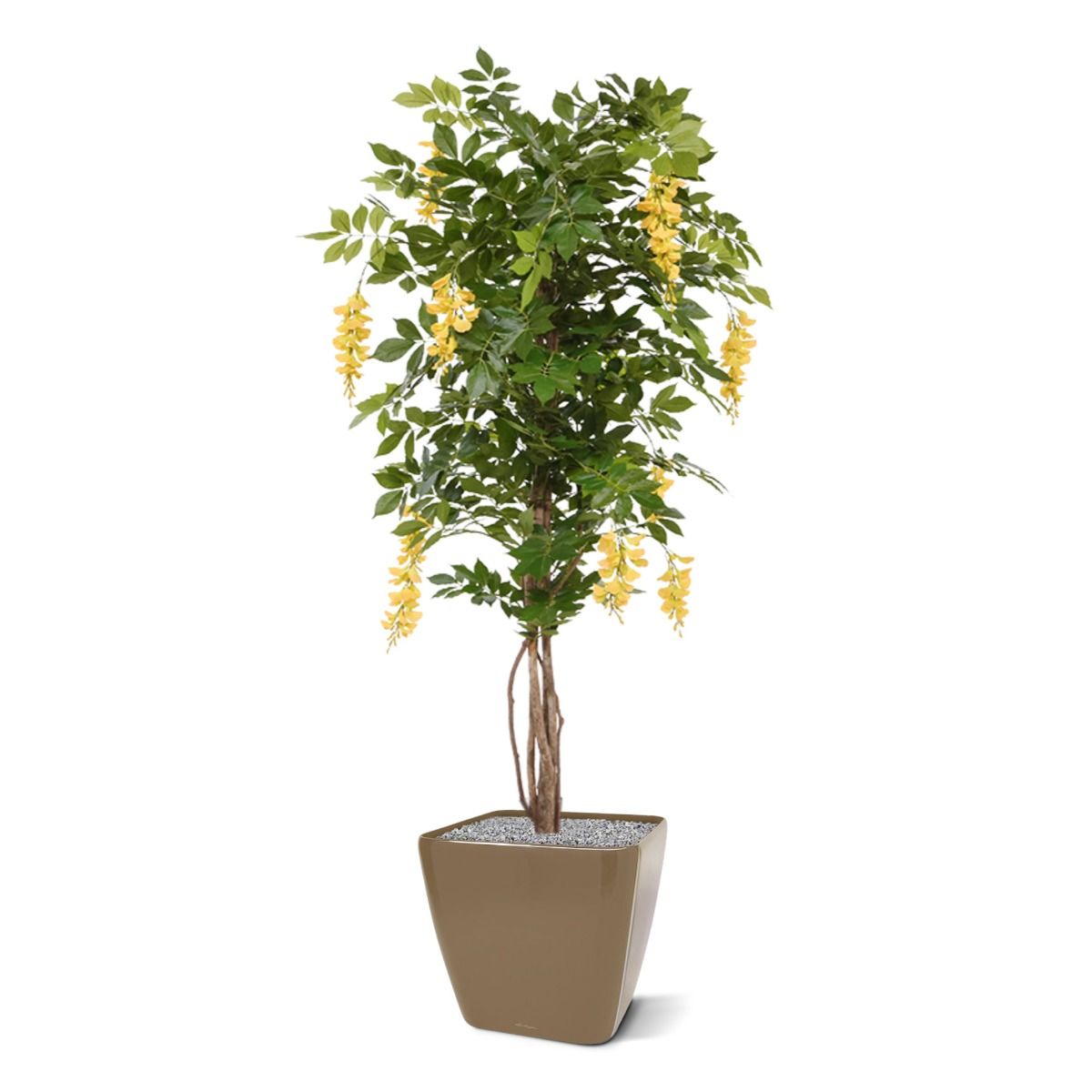 Wisteria kunstboom 150cm - Lila / Geel