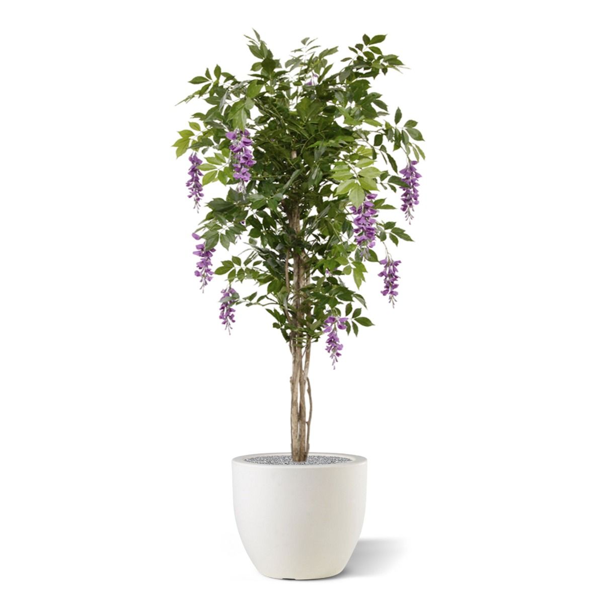 Wisteria kunstboom 150cm - Lila / Geel
