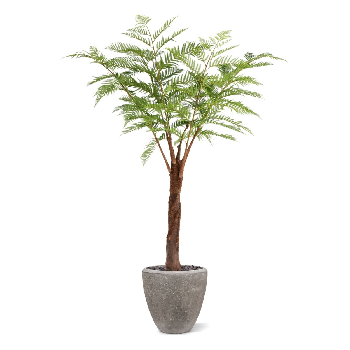 Woodwardia Kunstpalm Deluxe 220cm N