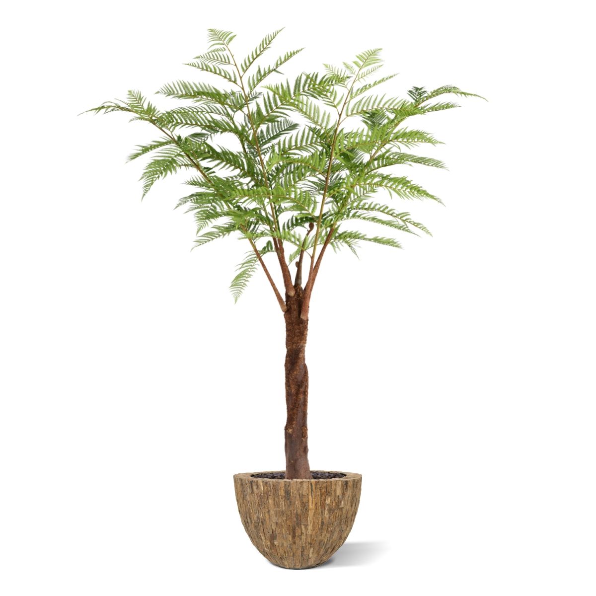Woodwardia Kunstpalm Deluxe 220cm N