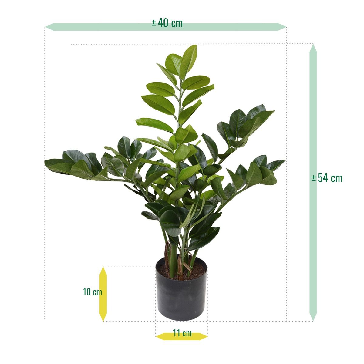 Zamioculcas kunstplant 55cm